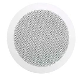 5 1/4" In Ceiling Speaker (Pair)