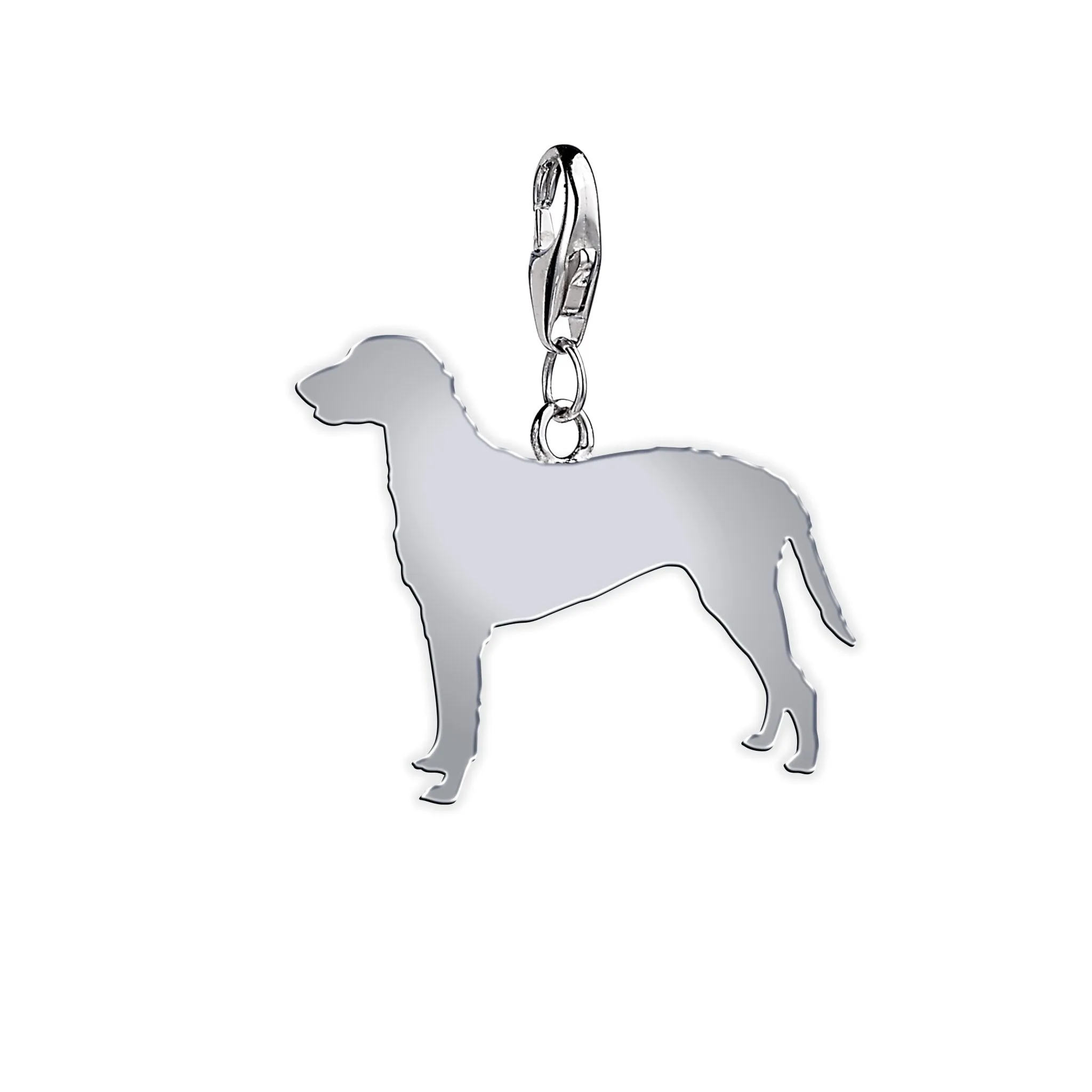 Curly-Coated Retriever Silhouette Silver Charm