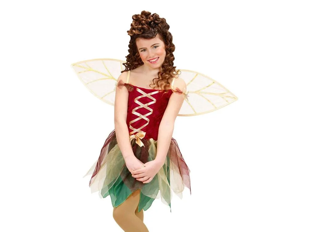 Fantasy Fairy Costume Girl