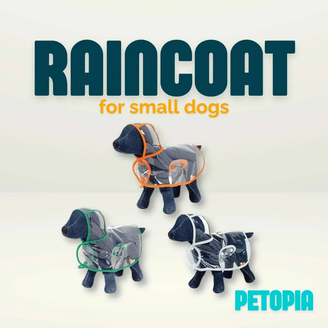 Raincoat for Small Dogs