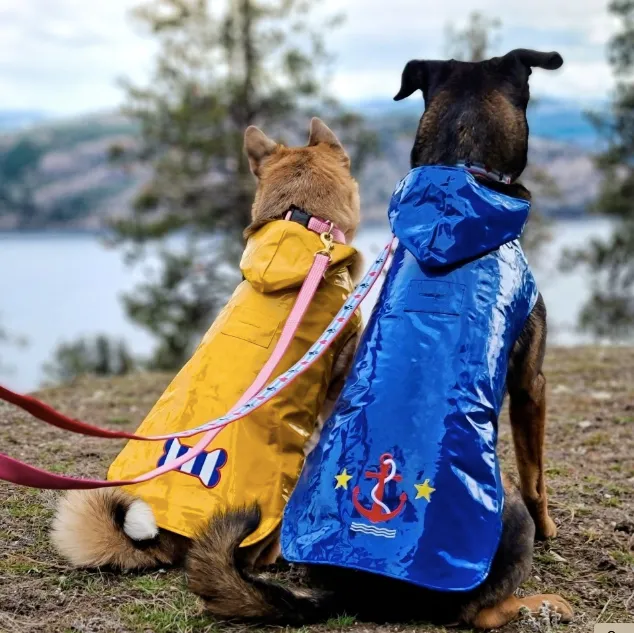 Raincoat Slicker | Yellow Striped Bone