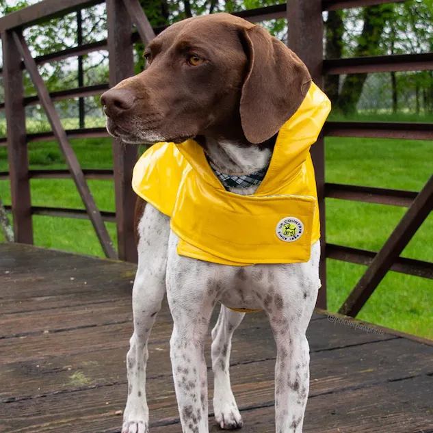 Raincoat Slicker | Yellow Striped Bone