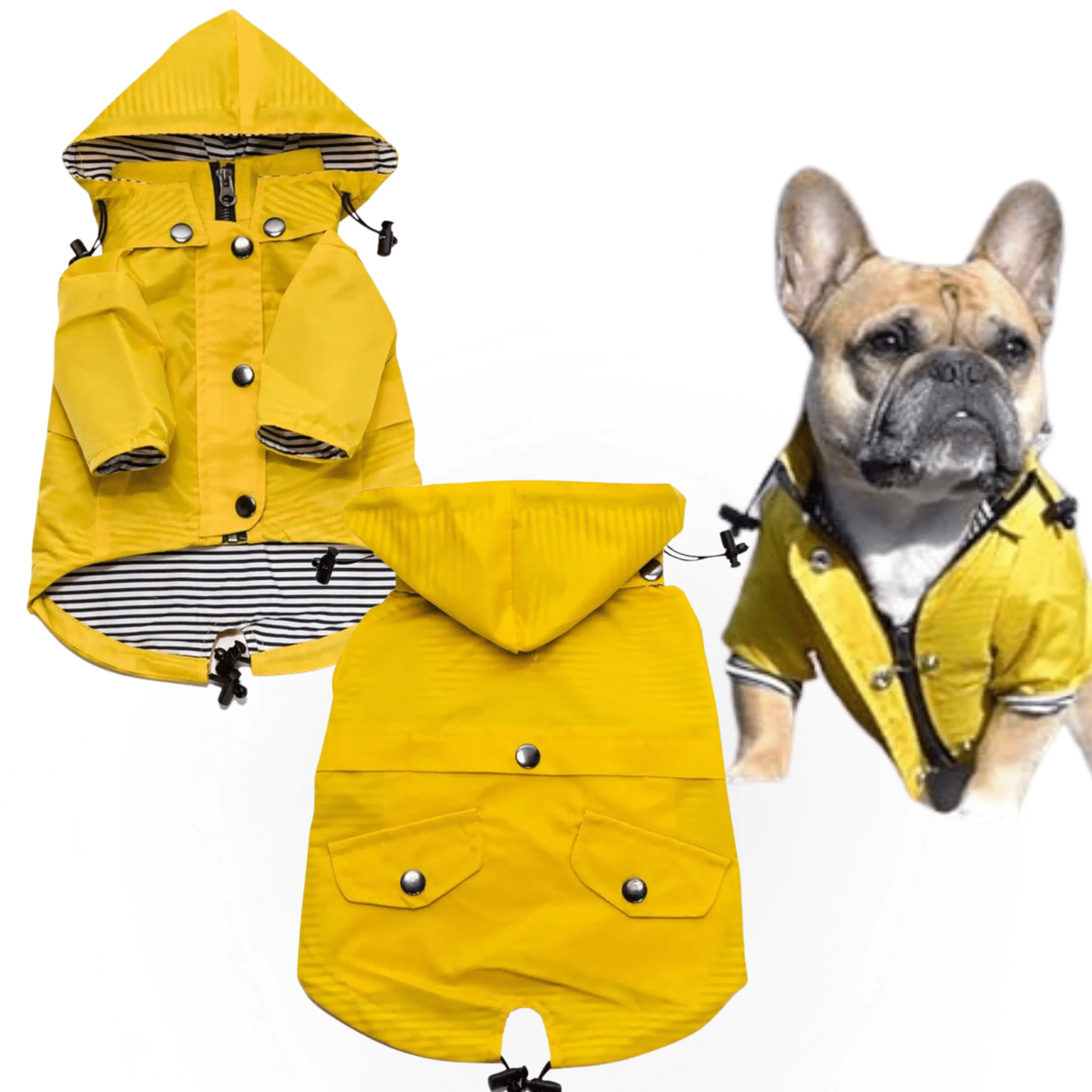 Zip Up Dog hooded Raincoat with Buttons